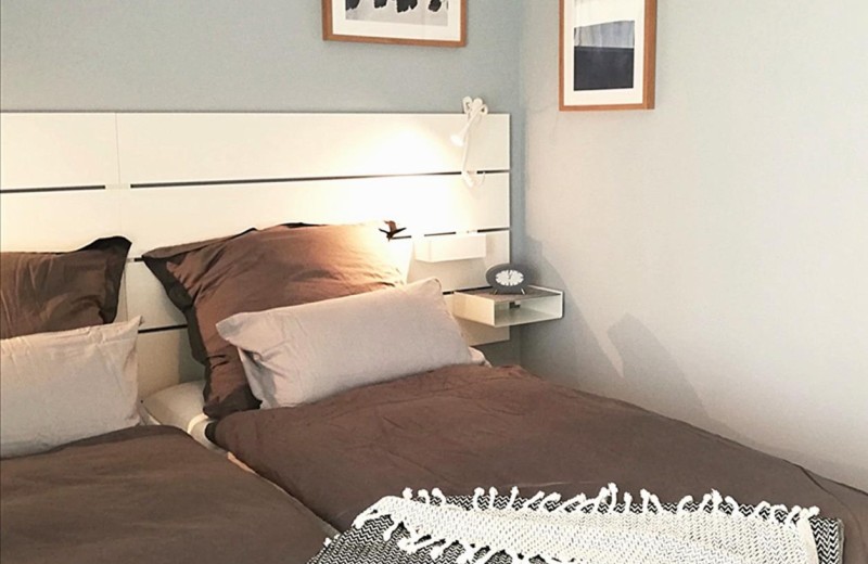 Ferienwohnung Lachmöwe