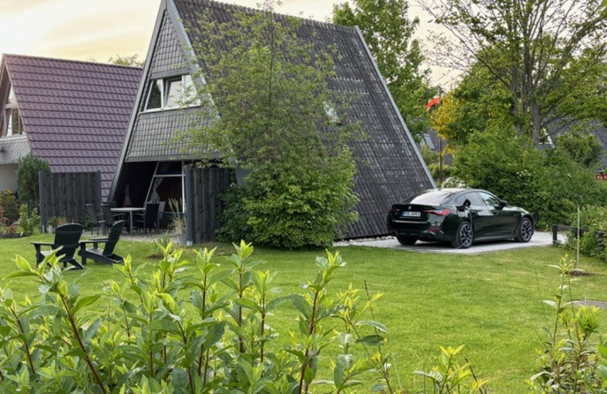 Damp Beach House